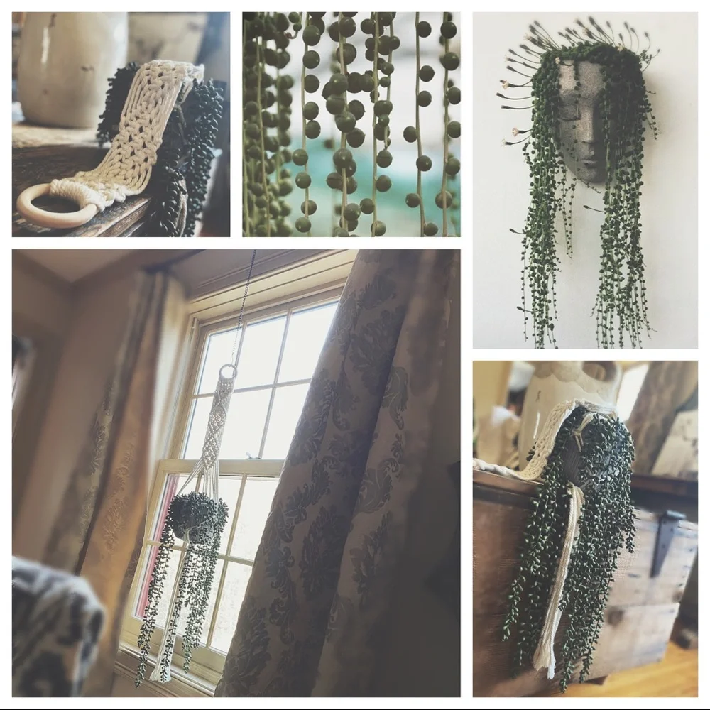 Handcrafted Macramé Succulent Hanger | Rustic Clay Pot & Faux Pearls